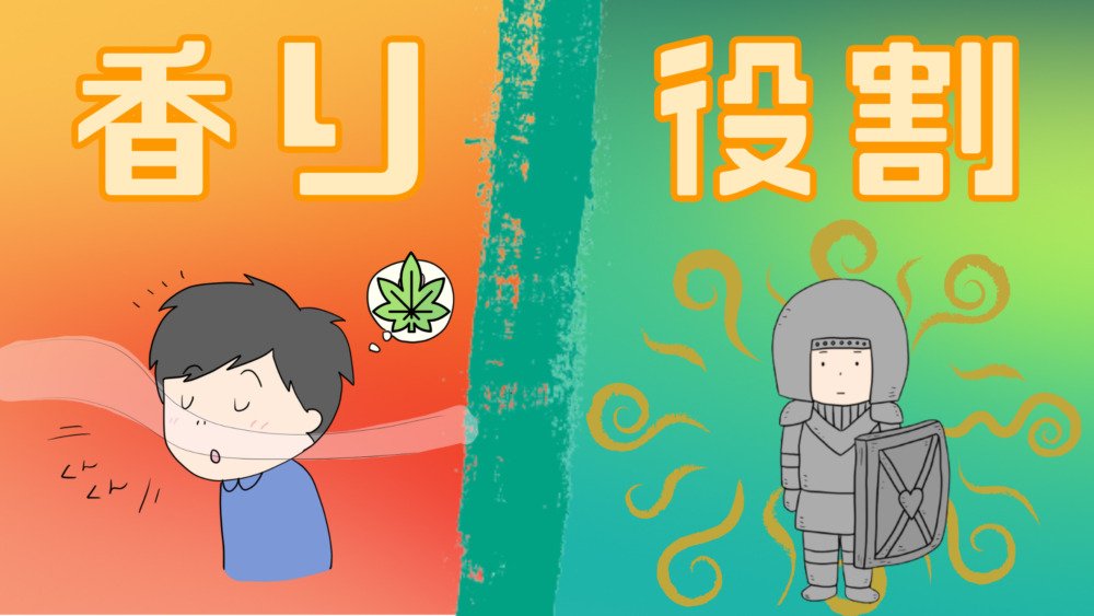 what-is-terpenes-6-pot420blog